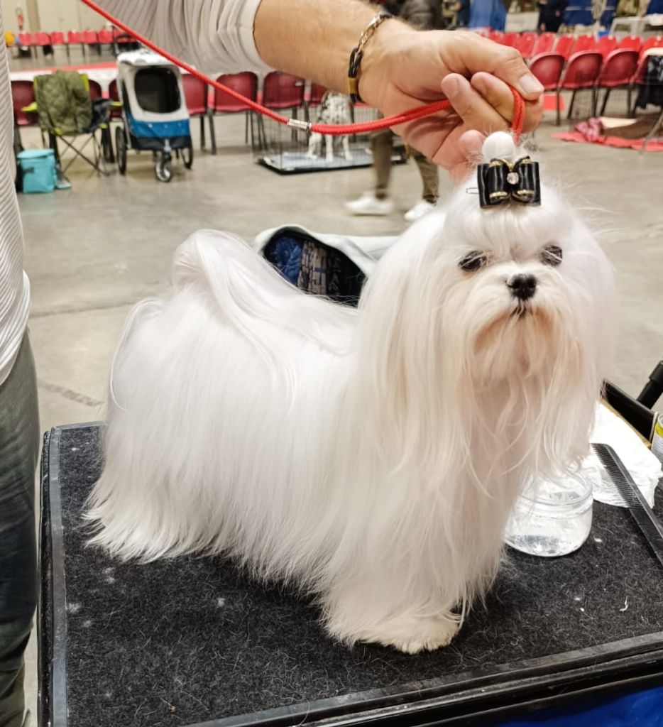 cinecitta' Ines orsini